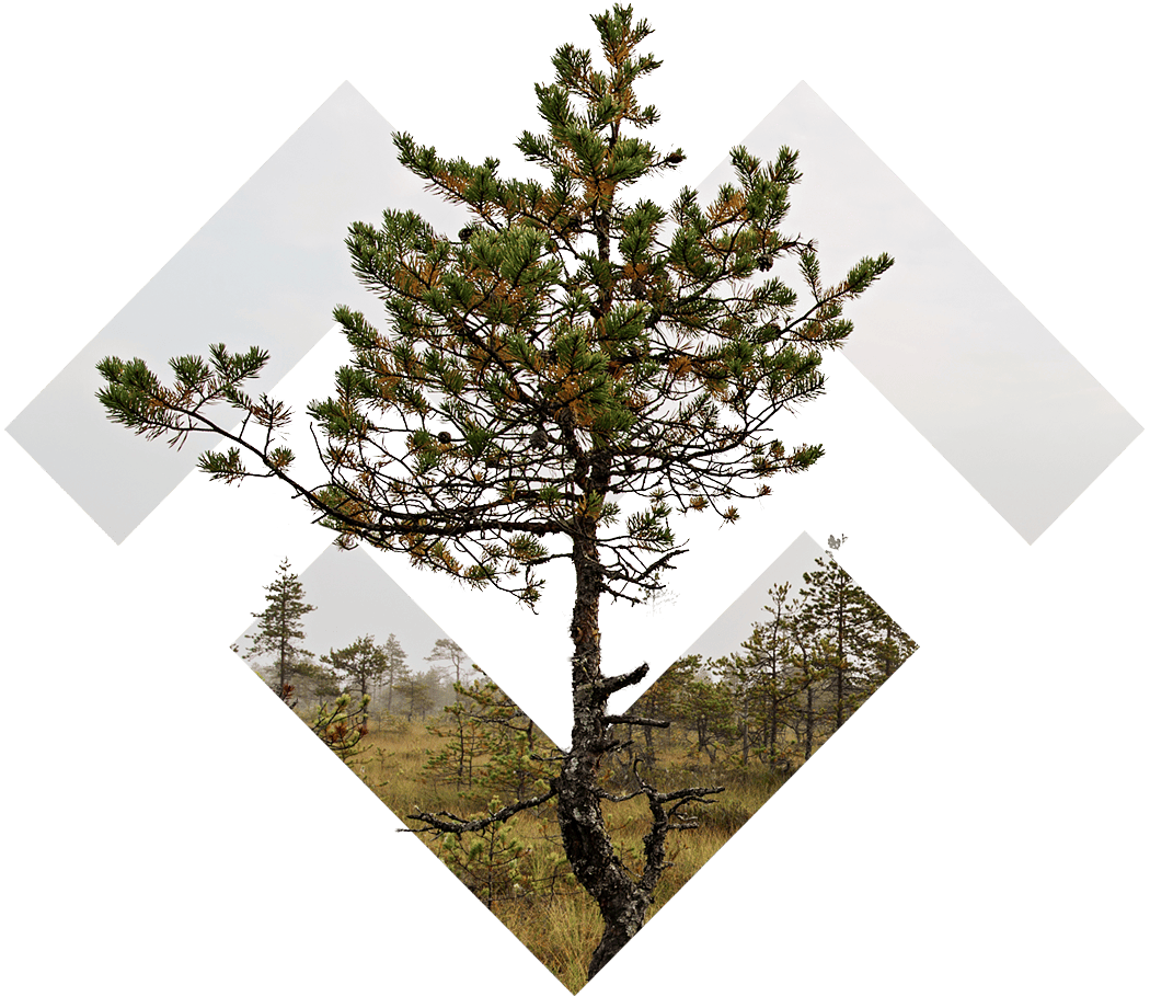 Vastuullisuus